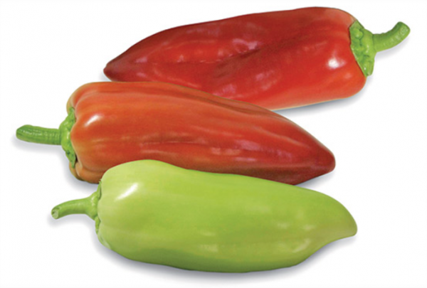 Agio Pepper Seeds 1000 seeds