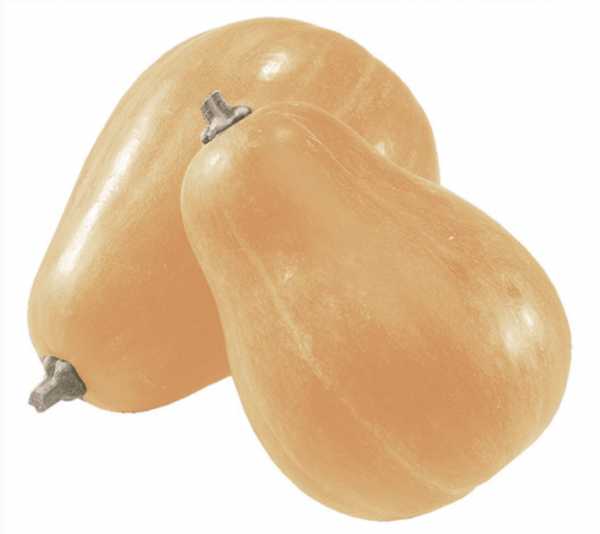 Sucrine Du Berry Pumpkin Seeds 1000 seeds