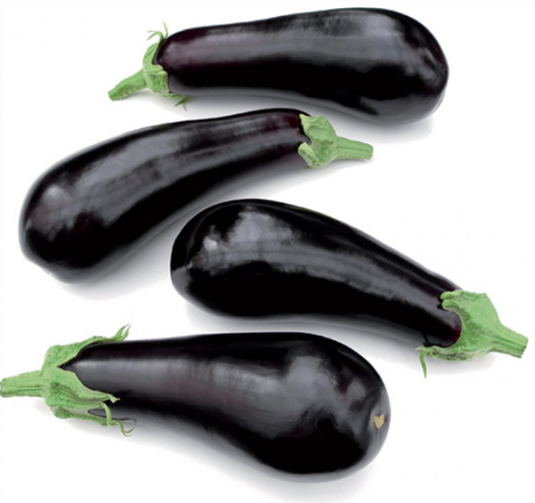 Anet F1 Eggplant Seeds 1000 seeds