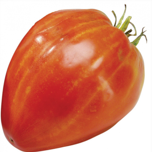 Cuor Di Bue Tomato Seeds 5000 seeds