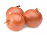 FX 3216 F1 Onion Seeds 1000 seeds