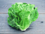 Green Towers MI Lettuce Seeds