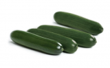 Darksun Cucumber Seeds 500 seeds