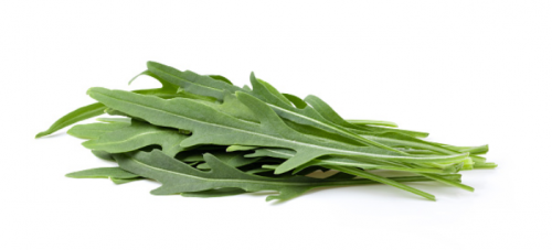 RUKOLA SEEDS - Venetia F1 Rukola Seeds 250gr - 250gr seeds