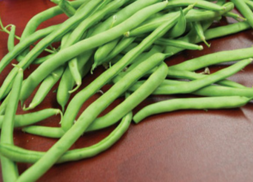 Malibu F1 Beans Seeds 1kg