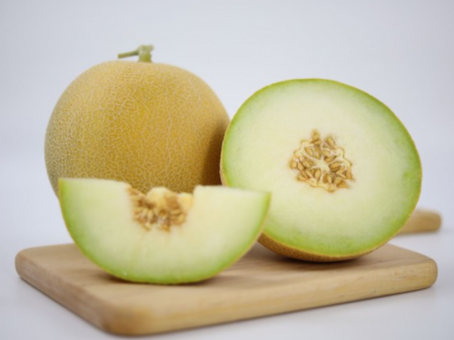 Marko F1 Melon Seeds