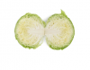 Boleroma Cabbage Seeds 2.500 seeds