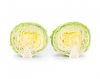 Cartagenas Lettuce Seeds 5000 seeds
