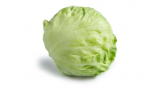 Adanas Lettuce Seeds 5000 seeds