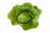Chicarita Lettuce Seeds 5000 seeds