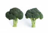 Lavon Broccoli Seeds 2500 seeds