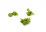 Coulthard Lettuce Seeds 1.000.000 seeds