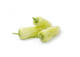 Sammy Pepper Seeds 500 seeds