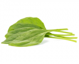 Baboon Spinach Seeds 1.000.000