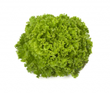 Emocion Lettuce Seeds 5000 seeds