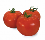 Ntama F1 Tomato Seeds 1000 seeds