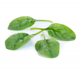 Sunangel Spinach Seeds 1.000.000 seeds