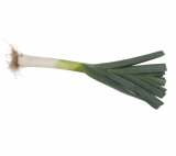 Nebulus Leek Seeds 2.500 seeds