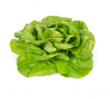 Beduina Lettuce Seeds 5000 seeds