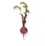 Monty Beetroot Seeds 100.000 seeds