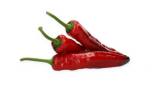 Palermo Pepper Seeds 500 seeds