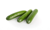 Strongsun Cucumber Seeds 500 seeds