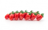 Ausino F1 Tomato Seeds 1000 seeds
