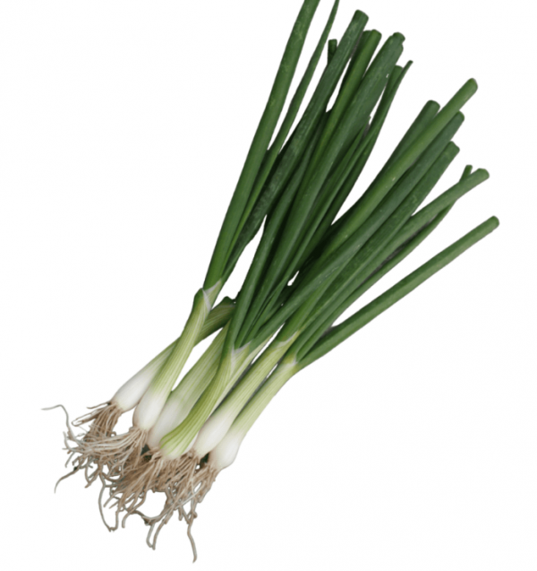 Eiffel Bunching Onion Seeds 250.000 seeds