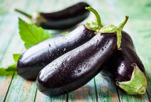 LONG - Melana F1 Eggplant Seeds 500 seeds - 500 seeds
