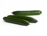 Trueno F1 Cucumber Seeds