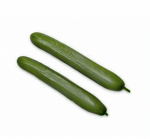 LONG - Formarinos Cucumber Seeds 500 seeds - 500 seeds
