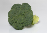 Coniva F1 Broccoli Seeds 2500 seeds