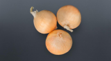Makalu F1 Onion Seeds 250.000 seeds