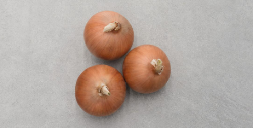 BULBS - Stingray F1 Onion Seeds 250.000 seeds - 250.000 seeds