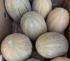 Maggi F1 Melon Seeds 500 seeds