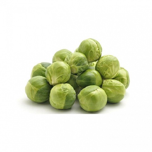 BRUSSELS SPROUT SEEDS - Cronus - 2500 seeds