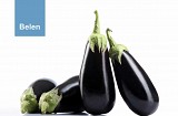 Belen F1 Eggplant Seeds 500 seeds