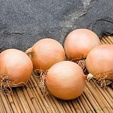 Derby F1 Onion Seeds