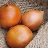 Zambezzi F1 Onion Seeds