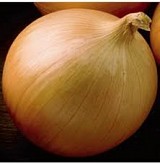 Bennito F1 Onion Seeds