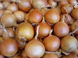 BALSTAR