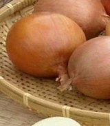 Damascus F1 Onion Seeds